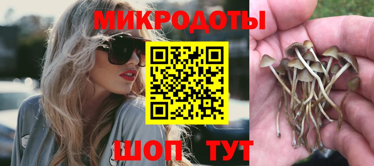 Псилоцибиновые грибы Magic Shrooms  Вход с VPN  Домодедово  Псилоцибиновые грибы Psilocybe 
