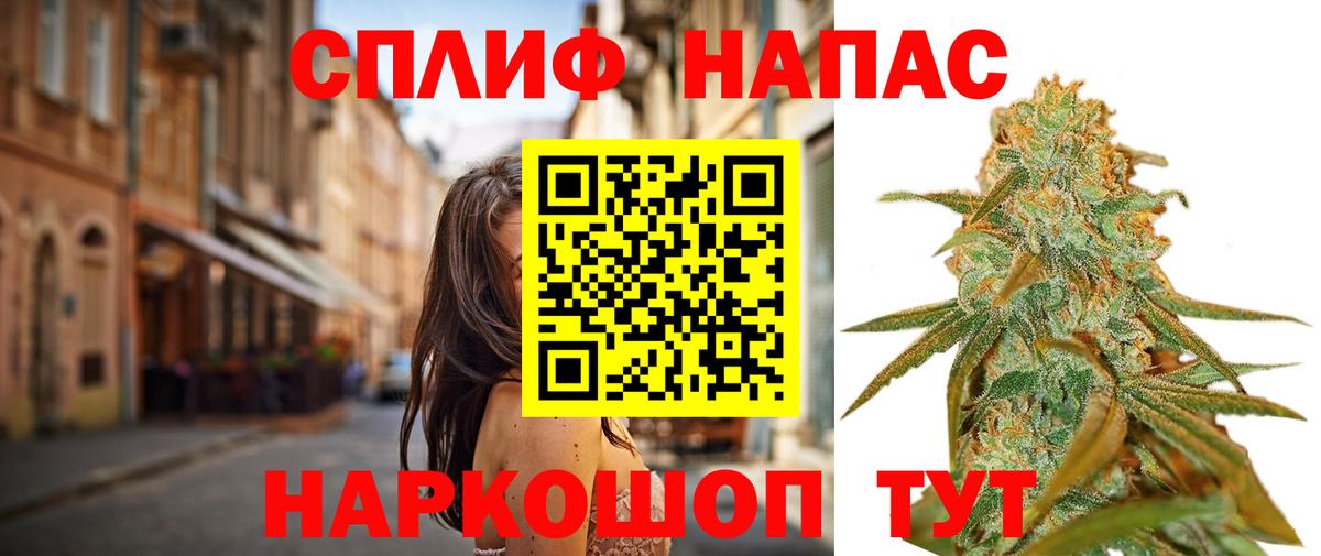 МАРИХУАНА сатива Домодедово
